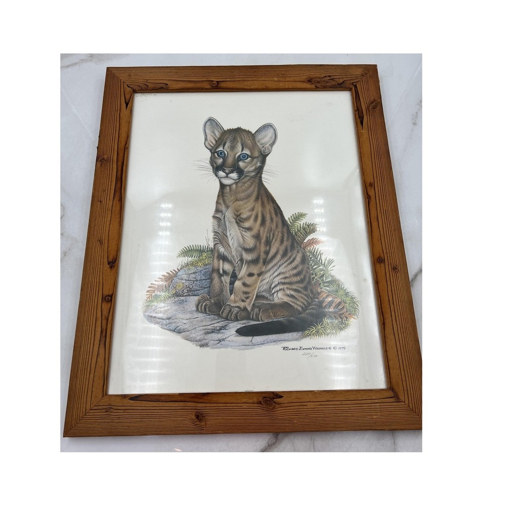 Vintage Richard Evans Younger 1979 Mountain Lion Cub Signed 229/950 Framed